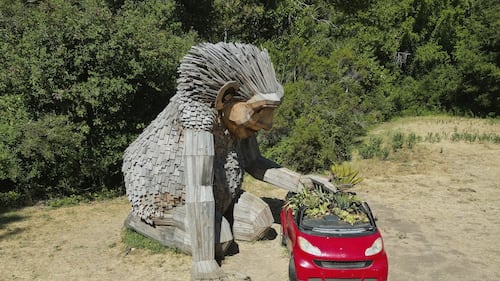 Nestled in forests around the world, army of trolls want to show humans how to live better