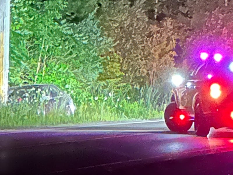Man crashes into hydro pole, flees scene in Springwater: OPP