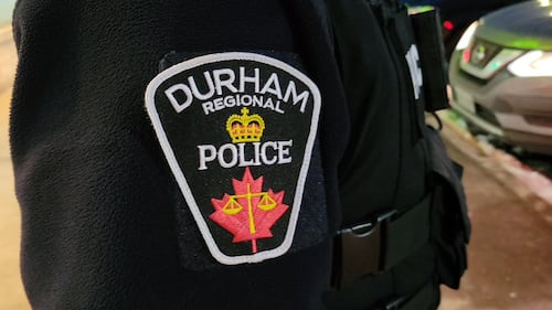 8 dogs seized from Oshawa home, man charged with animal cruelty