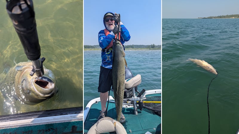 Bruce County fisherman nabs one of the largest ‘invasive’ grass carps ever caught in Great Lakes