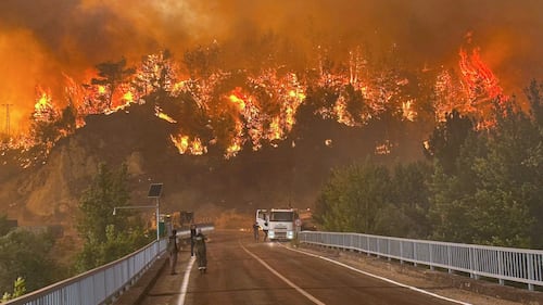 Fires engulf Turkiye’s Mediterranean coast as government declares 2 disaster zones