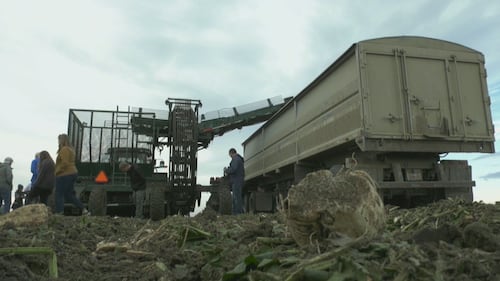 Investigating a cool new way to preserve underutilized crops