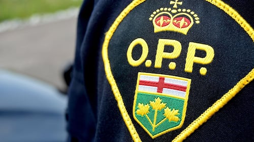 Pedestrian struck, killed on Hwy. 401 near Mallorytown: OPP