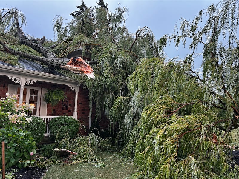 Storm damage in southwestern Ontario on July 24
