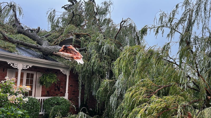 Storm damage in southwestern Ontario on July 24