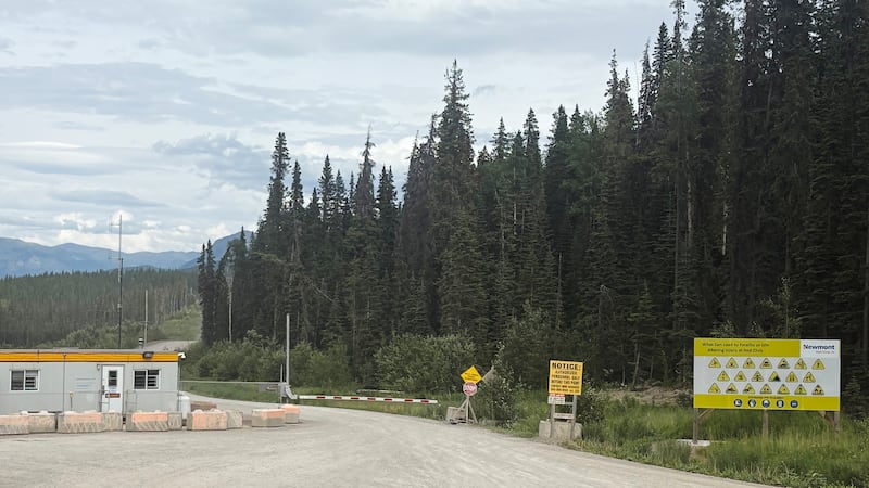 ‘Goosebumps’ and euphoria after workers trapped in B.C. mine were freed