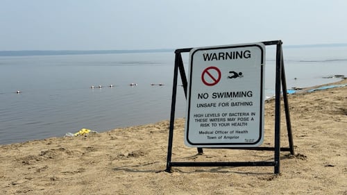 Ottawa beaches open despite E. coli concerns after thunderstorm