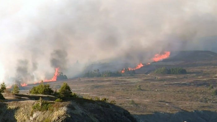 Wildfire state of emergency in Newfoundland: Dozens of structures destroyed