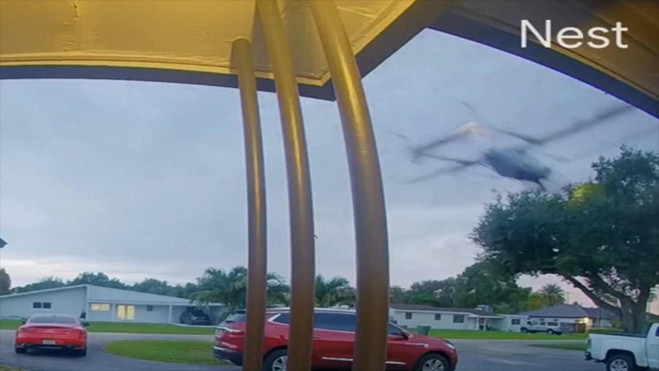 Frightening moment small plane collided with tree in Florida neighbourhood caught on camera