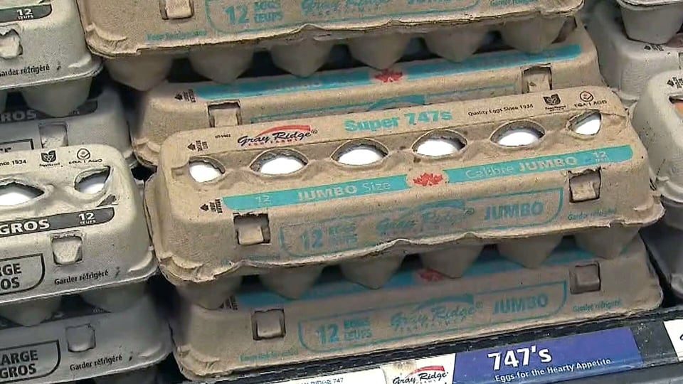 Annual inflation rate holds steady at 1.7 per cent in May: StatsCan