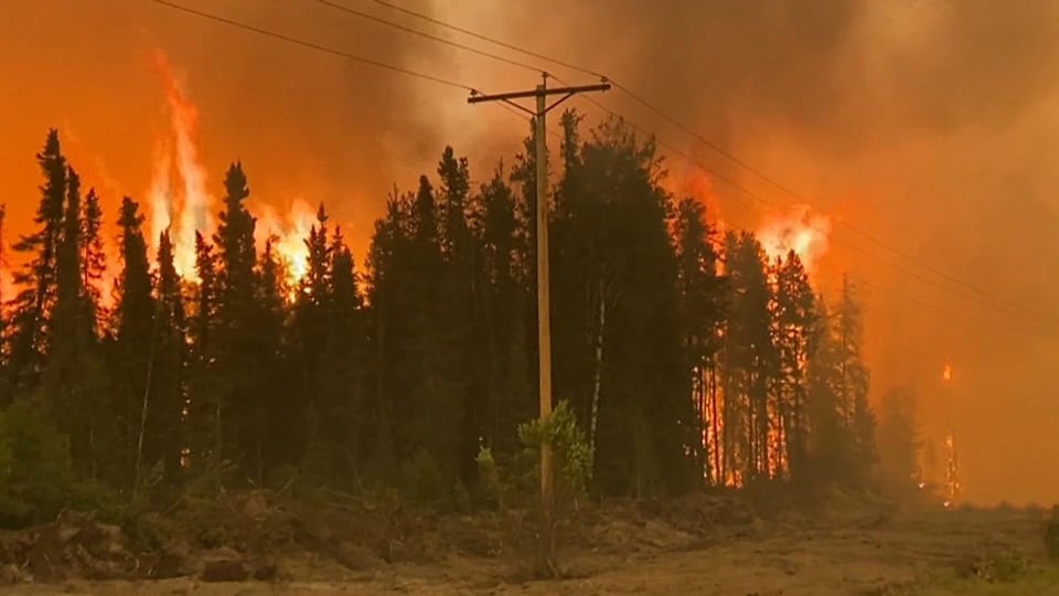 Ottawa stops short of creating a national disaster agency to address growing wildfire threat