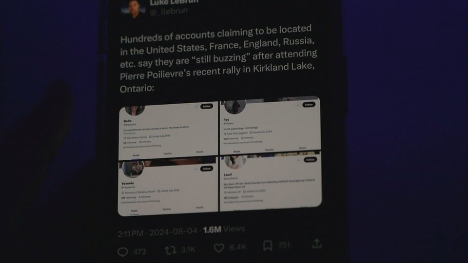 CTV National News: Concern with political disinformation