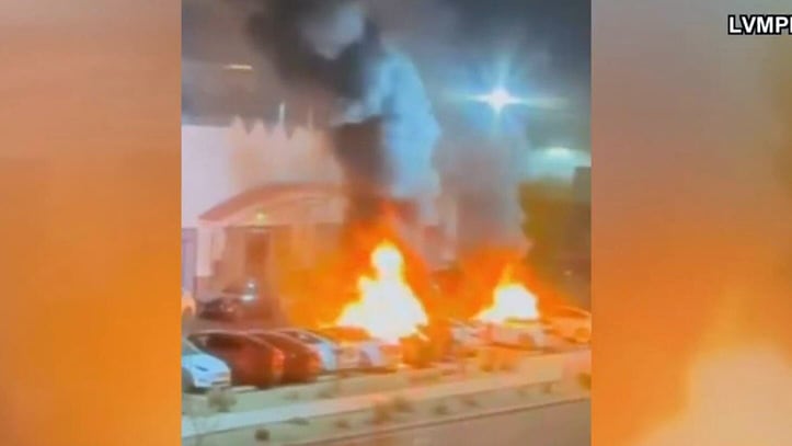 Tesla vehicles set on fire at service centre in Las Vegas