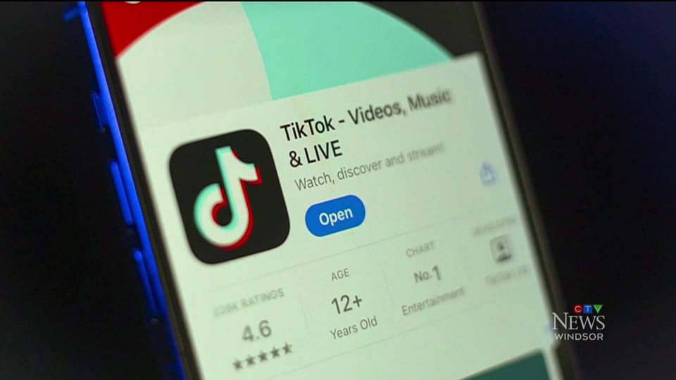 TikTok ban possible impact