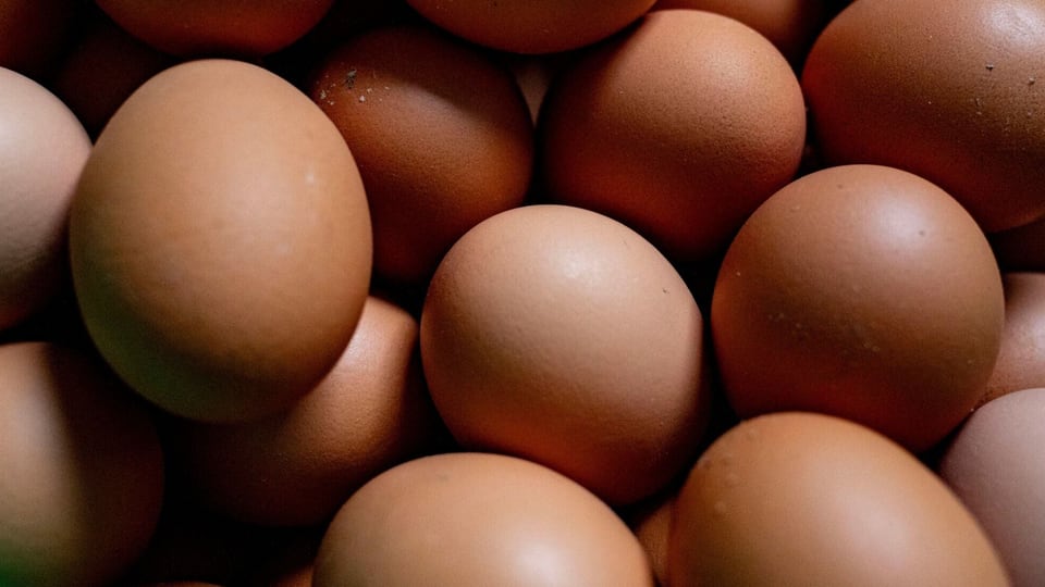 Increase of egg seizures skyrocketing at the U.S. border