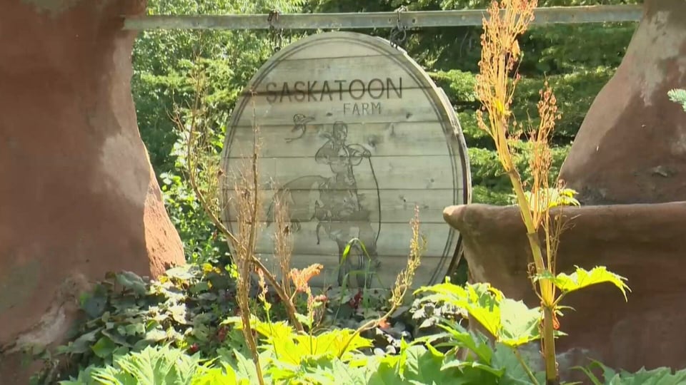 Dozens now believed sick after eating at Alberta restaurant