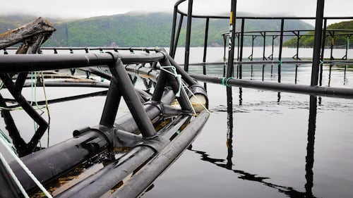 Salmon group says aquaculture companies stashing garbage along Newfoundland coast