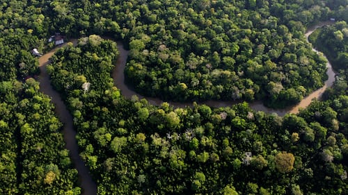 Proof of life: tracking elusive Amazon group to save their land