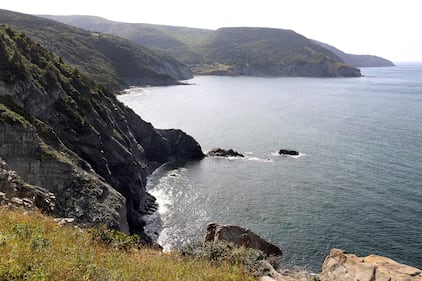 Meat Cove, N.S., is pictured. (CTV/Darryl Reeves)