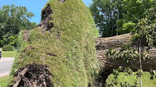 A downburst with 115 km/h winds caused damage in Mallorytown, Ont. during Sunday’s storm 