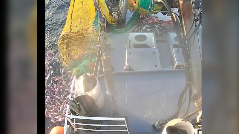 B.C. fisherman fined $25K after discarding more than 4,000 kg of caught rockfish