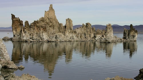 A science journal pulled a controversial study about a bizarre life form against the authors’ wishes