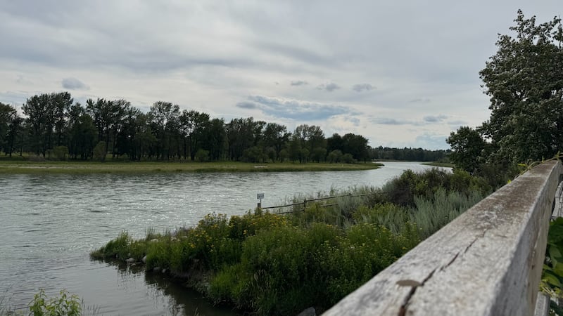 Cool, cloudy weekend ahead of us, most likely wet at times