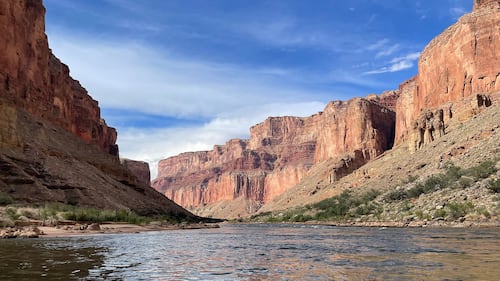 Fossils unearthed in Grand Canyon reveal new details of evolutionary explosion of life